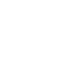 Representation before State and Federal Agencies & Courts